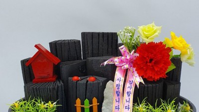 힐링템 득템! 미니숯부작 후기🌿 (할인정보有)