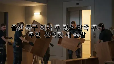 울산 북구 이사 후 청소, 만족 후기 추천! ✨ 완벽한 새 출발